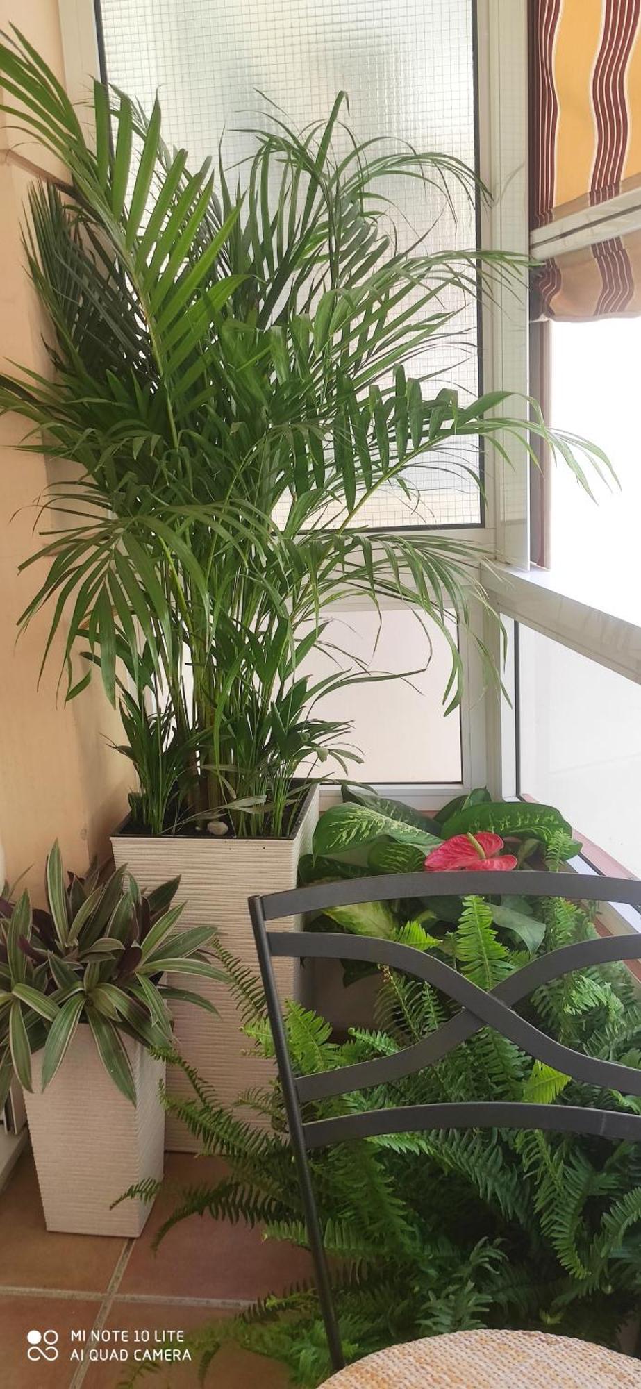 Duplex Fuengirola Centro 3 Dormitorios Εξωτερικό φωτογραφία